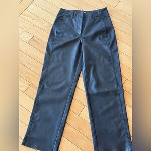 Wilfred Aritzia Agency leather Pants